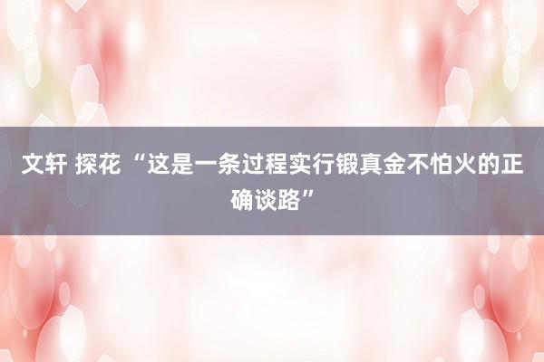 文轩 探花 “这是一条过程实行锻真金不怕火的正确谈路”