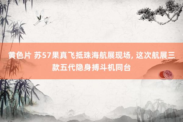 黄色片 苏57果真飞抵珠海航展现场， 这次航展三款五代隐身搏斗机同台