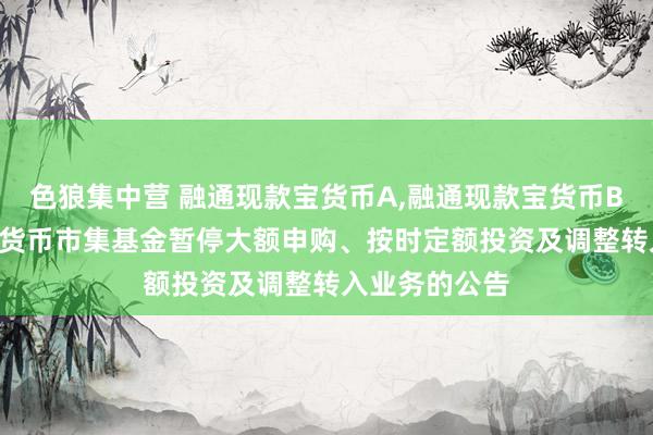 色狼集中营 融通现款宝货币A,融通现款宝货币B: 融通现款宝货币市集基金暂停大额申购、按时定额投资及调整转入业务的公告