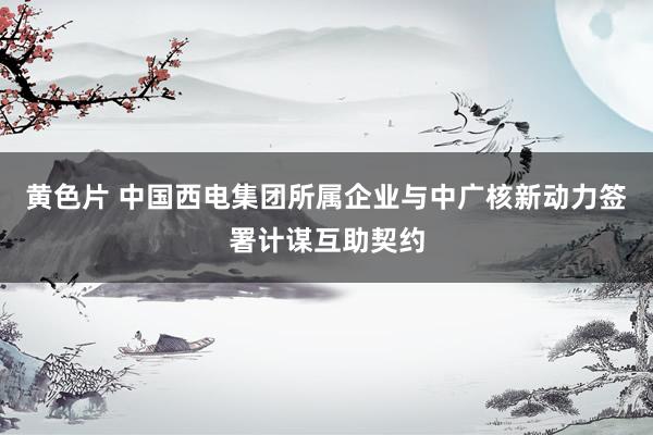 黄色片 中国西电集团所属企业与中广核新动力签署计谋互助契约