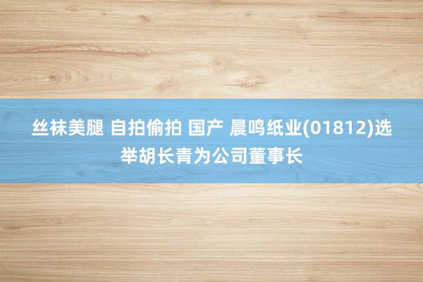 丝袜美腿 自拍偷拍 国产 晨鸣纸业(01812)选举胡长青为公司董事长