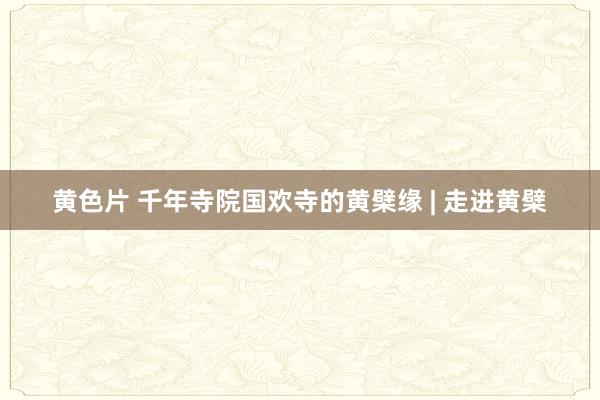 黄色片 千年寺院国欢寺的黄檗缘 | 走进黄檗