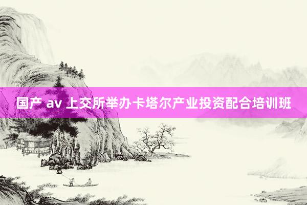 国产 av 上交所举办卡塔尔产业投资配合培训班