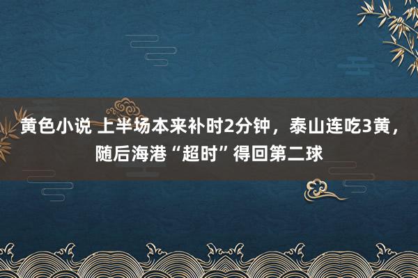 黄色小说 上半场本来补时2分钟，泰山连吃3黄，随后海港“超时”得回第二球