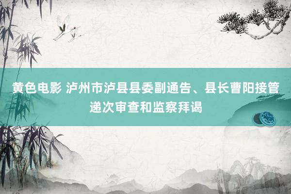 黄色电影 泸州市泸县县委副通告、县长曹阳接管递次审查和监察拜谒
