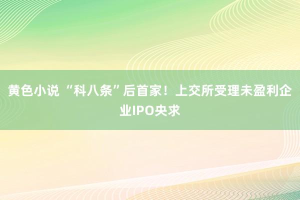 黄色小说 “科八条”后首家！上交所受理未盈利企业IPO央求