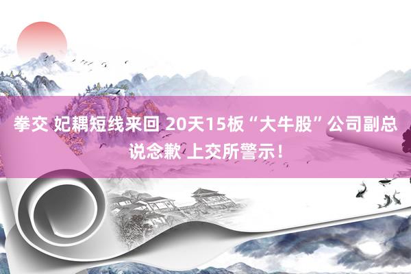 拳交 妃耦短线来回 20天15板“大牛股”公司副总说念歉 上交所警示！