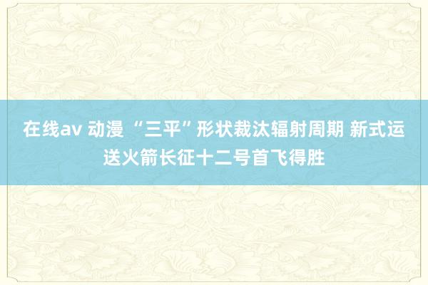 在线av 动漫 “三平”形状裁汰辐射周期 新式运送火箭长征十二号首飞得胜