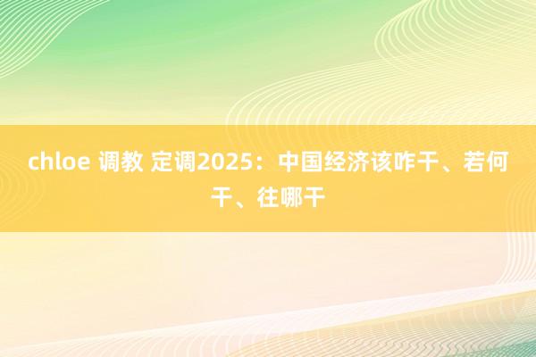 chloe 调教 定调2025：中国经济该咋干、若何干、往哪干