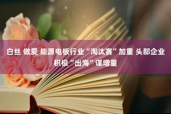 白丝 做爱 能源电板行业“淘汰赛”加重 头部企业积极“出海”谋增量