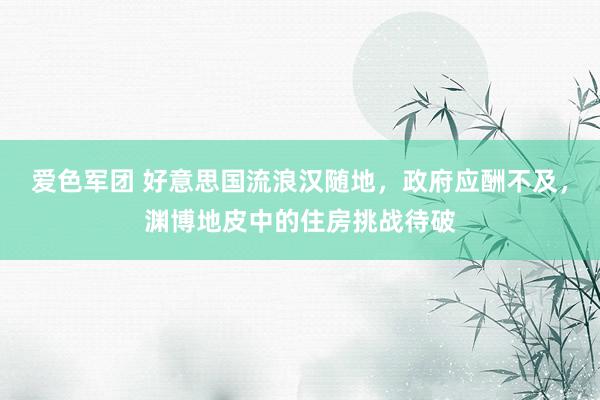 爱色军团 好意思国流浪汉随地，政府应酬不及，渊博地皮中的住房挑战待破