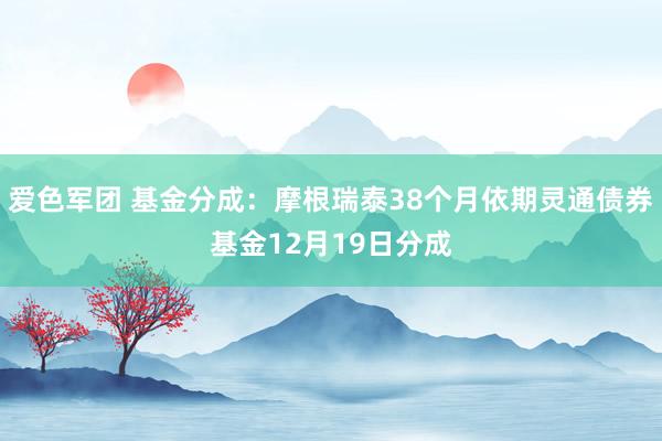 爱色军团 基金分成：摩根瑞泰38个月依期灵通债券基金12月19日分成