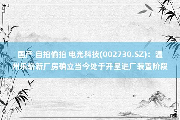 国产 自拍偷拍 电光科技(002730.SZ)：温州乐崭新厂房确立当今处于开垦进厂装置阶段