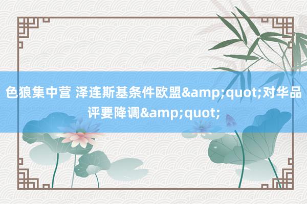 色狼集中营 泽连斯基条件欧盟&quot;对华品评要降调&quot;