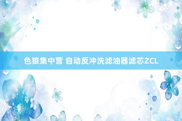 色狼集中营 自动反冲洗滤油器滤芯ZCL