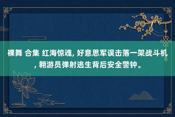 裸舞 合集 红海惊魂， 好意思军误击落一架战斗机， 翱游员弹射逃生背后安全警钟。