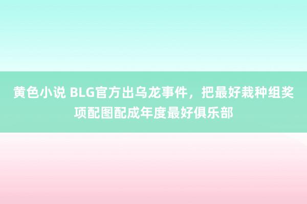 黄色小说 BLG官方出乌龙事件，把最好栽种组奖项配图配成年度最好俱乐部
