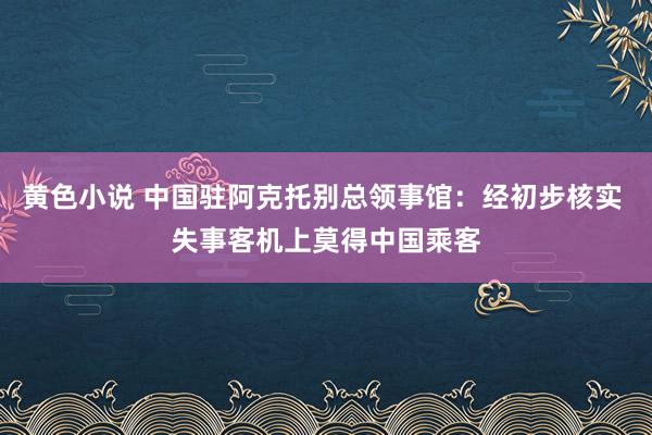 黄色小说 中国驻阿克托别总领事馆：经初步核实 失事客机上莫得中国乘客