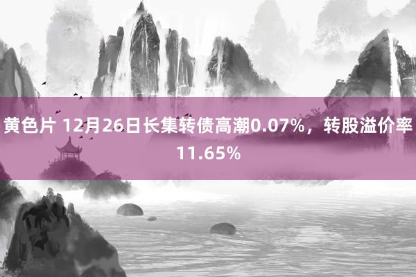 黄色片 12月26日长集转债高潮0.07%，转股溢价率11.65%