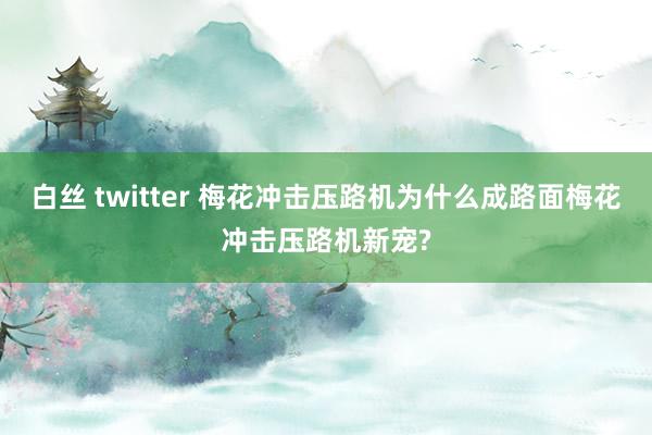 白丝 twitter 梅花冲击压路机为什么成路面梅花冲击压路机新宠?