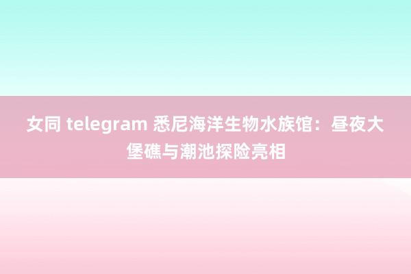 女同 telegram 悉尼海洋生物水族馆：昼夜大堡礁与潮池探险亮相