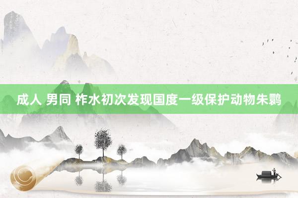 成人 男同 柞水初次发现国度一级保护动物朱鹮