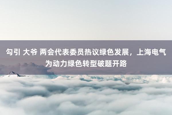 勾引 大爷 两会代表委员热议绿色发展，上海电气为动力绿色转型破题开路
