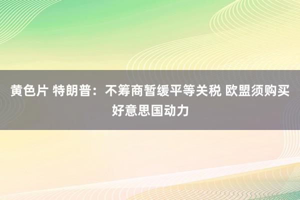 黄色片 特朗普：不筹商暂缓平等关税 欧盟须购买好意思国动力