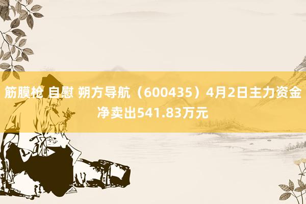筋膜枪 自慰 朔方导航（600435）4月2日主力资金净卖出541.83万元