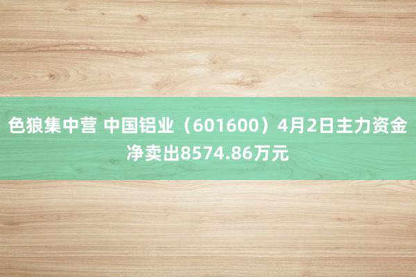 色狼集中营 中国铝业（601600）4月2日主力资金净卖出8574.86万元