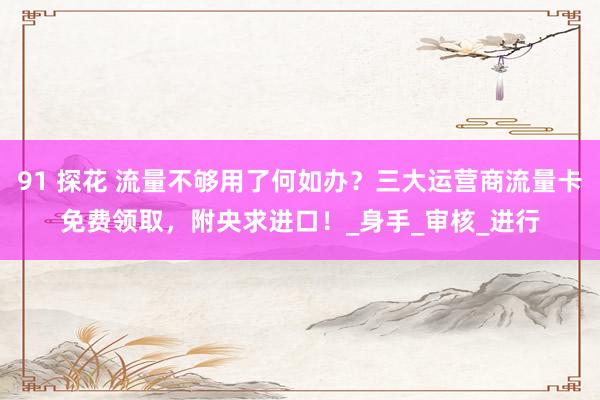 91 探花 流量不够用了何如办？三大运营商流量卡免费领取，附央求进口！_身手_审核_进行