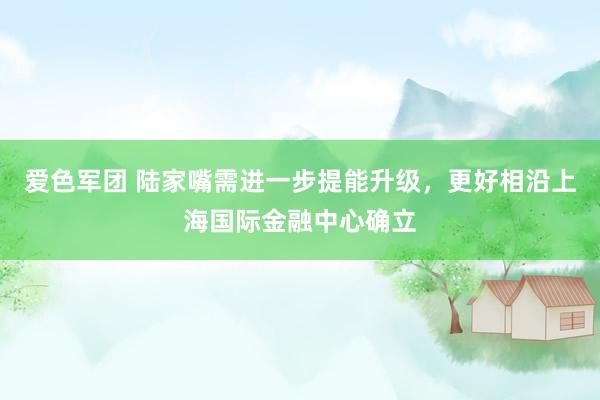 爱色军团 陆家嘴需进一步提能升级，更好相沿上海国际金融中心确立
