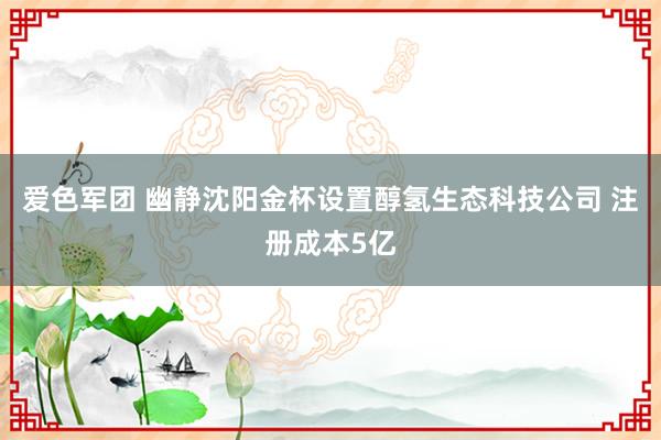 爱色军团 幽静沈阳金杯设置醇氢生态科技公司 注册成本5亿